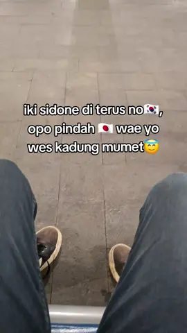 piye ki cahh😭🇰🇷🇯🇵#gtogkoreaselatan🇲🇨🇰🇷 #jepang🇯🇵 #pejuangwon🇰🇷🇲🇨 #pejuangjepang🇯🇵 