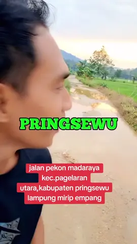 jalan madaraya kec.pagelaran Utara,Kabupaten pringsewu lampung ,mirip empang  #fyp  #riantopamungkas #bupatipringsewu  #jalanmadaraya