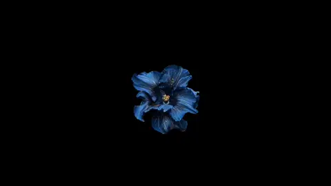 Feliz Cumpleaños mamá ❤️‍🩹💞Quiero estar Siempre a tú lado 💫❤️‍🩹💞@¿? #tiktok #happybirthday #mamá #fredik 