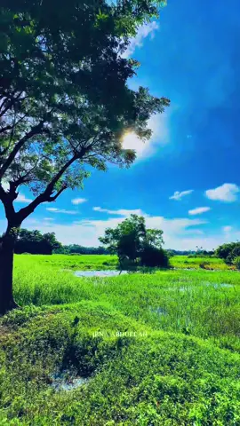 পরকালে ইনশাআল্লাহ পাবো 🥰🏝️🦋 #ibnaabdullah #naturevideos #islamic_video #naturelover #trending 
