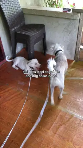 high quality dog chain, dog leash>> 94 pesos ko lang nabili.