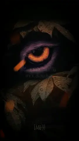 #creatorsearchinsights 