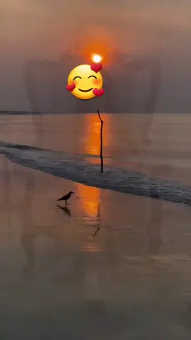 #pcut❤️❤️❤️💖 