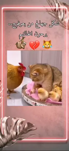 #😂😂😂 