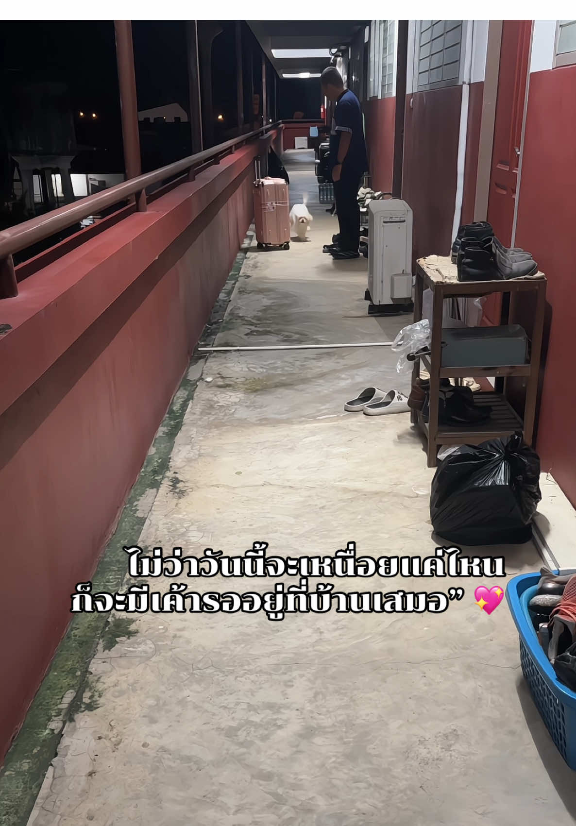 ความสุขหลังจากเลิกงานเป็นแบบนี้นี่เอง💖 #ชิสุห์ #fypシ #shihtzu #น้องหมาน่ารัก #ถ้วยฟู 