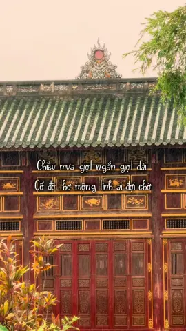 Tình mưa xứ Huế - Thanh Tâm #hoangtrinhphan #tourguide #Huế #reviewhue 