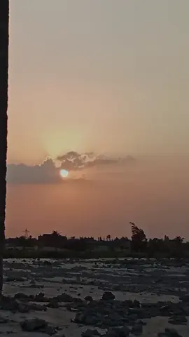 #ينشرون_الأغاني_ويستحو_من_نشر_القرآن ♥️♥️