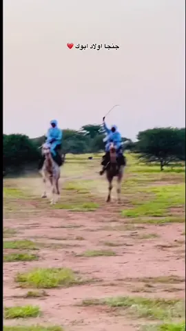#بوادي_غرب_السودان💚🐪 