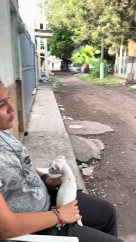 JAJAJAJAJA#fyb #viraltiktok #raiting #DESTACAR  NMMS 