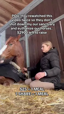 $25 = 1 MEAL 1 SHARE = 1 MEAL#horselovers #horselife #horsecare #horsefarm #HorseRescue 
