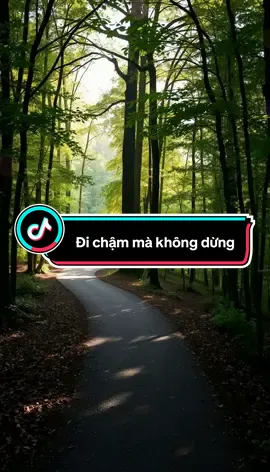 Đi chậm nhưng không dừng — bạn đang tiến về phía mình. #kientri #khongbocuoc #muctieu #voicetiktok 