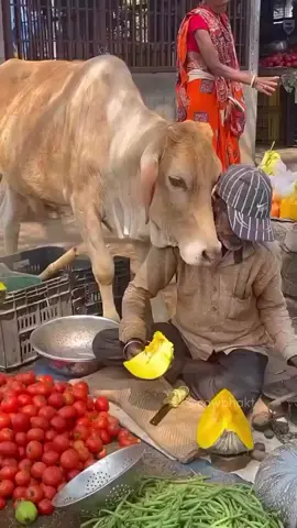 man yati KO chehunu par xa kya 🤗🤗💐