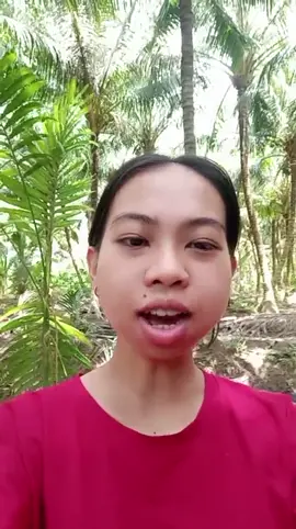 Em tặng anh dũng nhen #canhdepmientay #camnhicover @Cẩm Nhi COVER🎤 