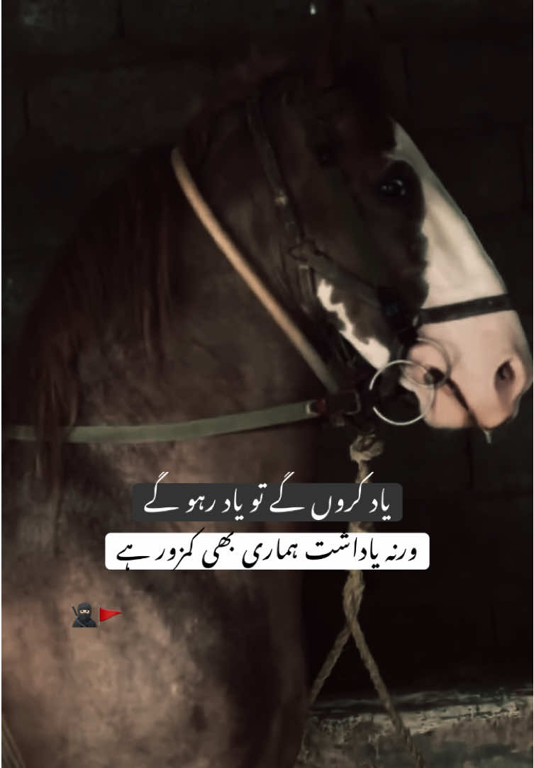 HAN G💀.        #foryoupage #viralditiktok #poetrystatus #lines🔥 #unfreezemyaccount 