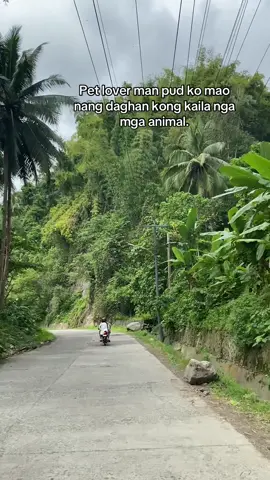 😅#fypシ゚viral #fypシ゚ 