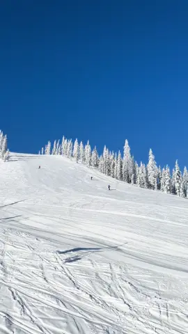 bluebird days 💙🩵 #fyp #snowboarding #ski #fypシ #winter 