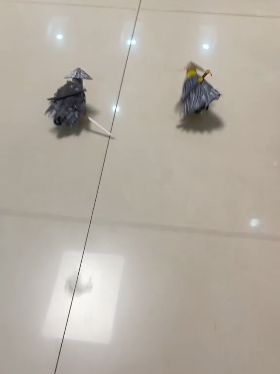 samurai warriors🦜🦜 #fypシ゚viral #foryou #fyp  One man, one sword, who doesn't dream of a knight? #Original Work #Knight's Dream  the World  Shadow on a Cold River, an Old Friend in the World  Arts Dream