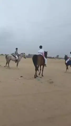 حفضكم الله #الخيل_من_خيالها #_متابعه_ولايك_واكسبلور_مارب_وادي_عبيده_ #CapCut 