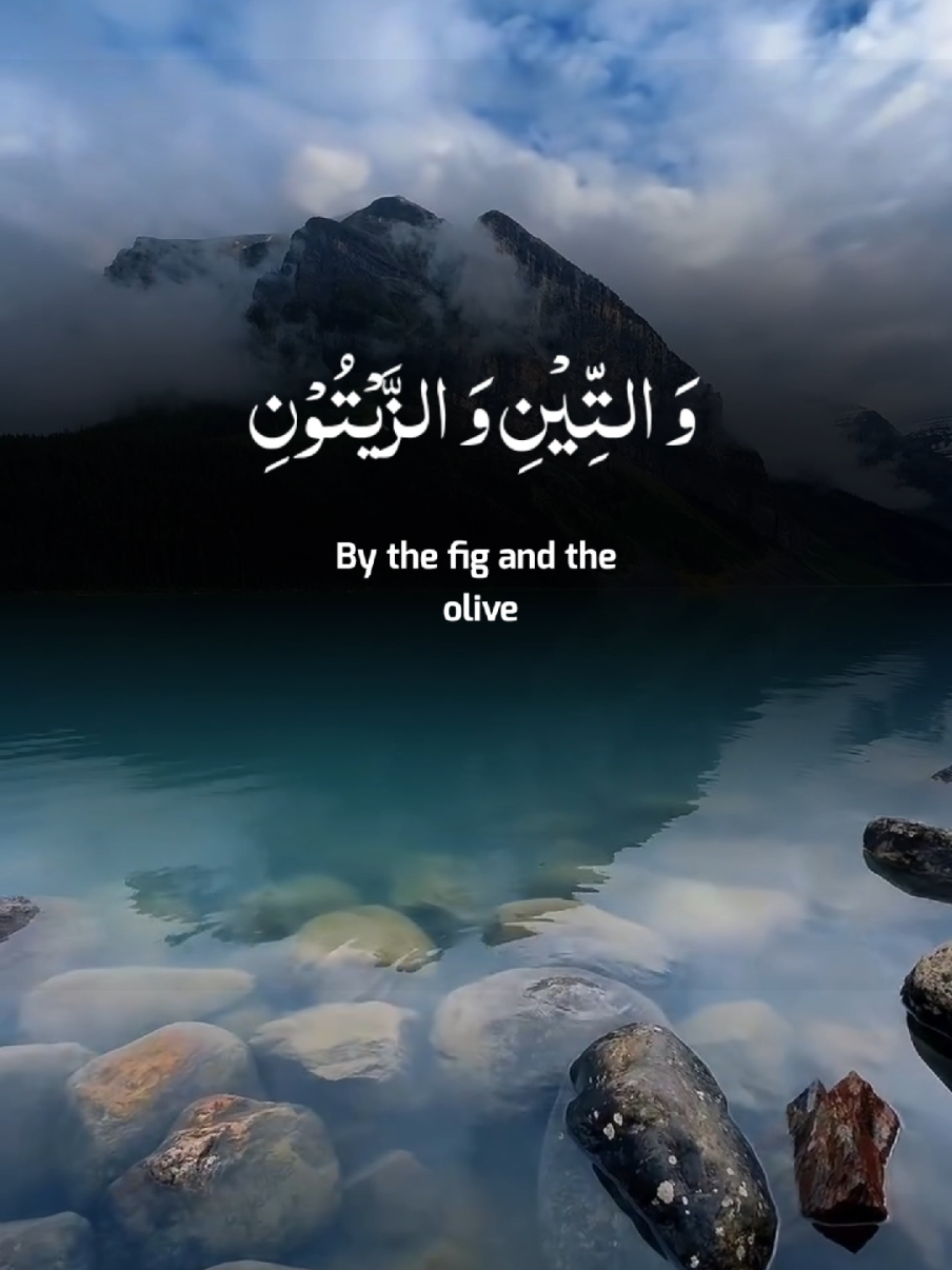 Surah At Teen A Beautiful Quran Recitation By Ridjaal Ahmad #quran #tilawat #recitation #unfrezzmyaccount #foryoupage 