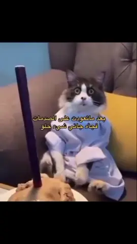 حرفياً 😂