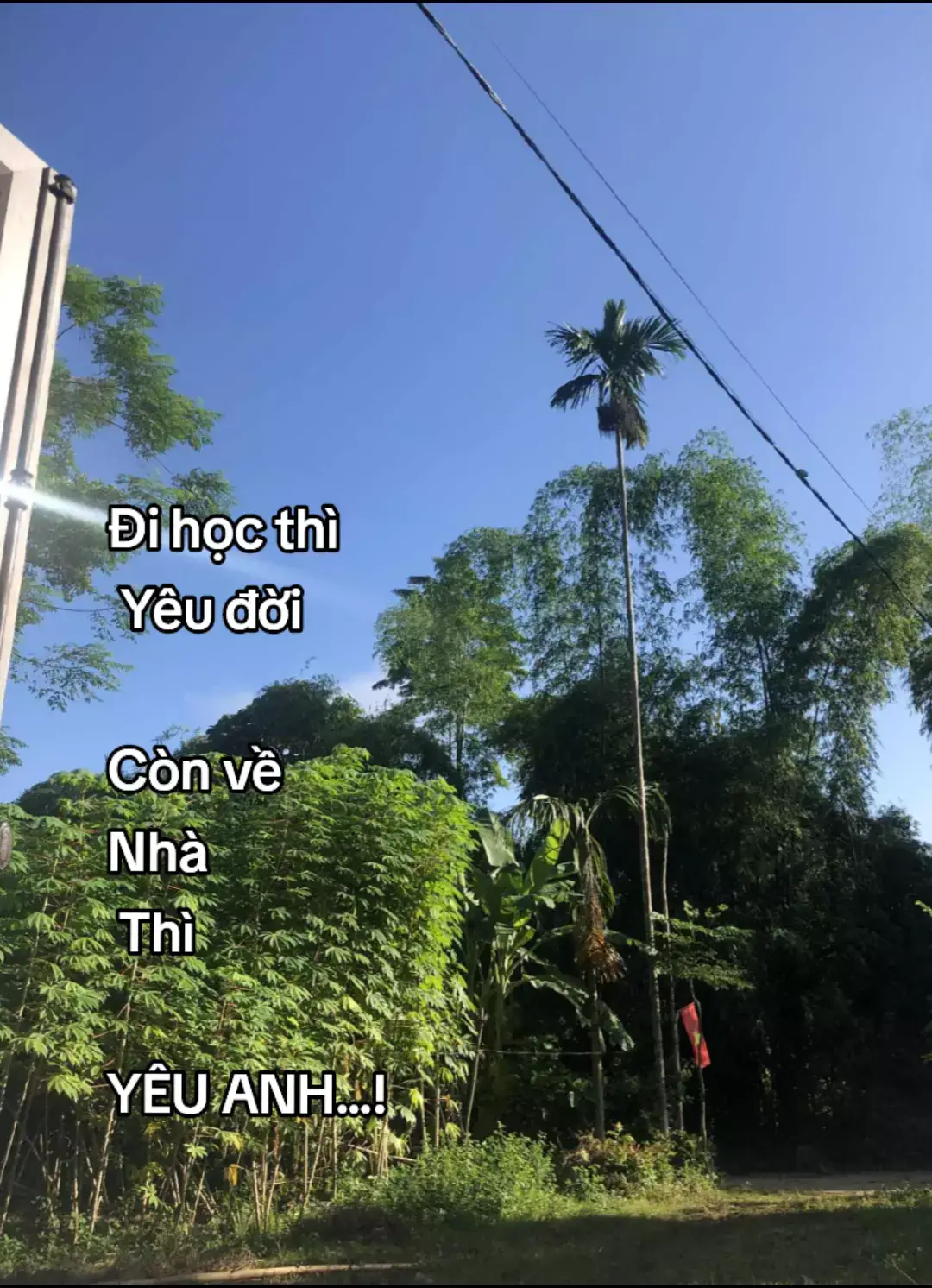 #tinhyeu #foryou 