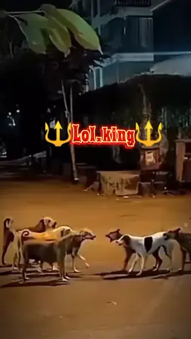 ስራውነው ጀለስ ሽንት ቤት አጣቢ#etyodrilmusik#ethiopian_tik_tok🇪🇹🇪🇹🇪🇹🇪🇹