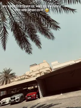 কত সকাল গিয়ে বিকেল হয়, সন্ধ্যা হয়, বন্ধু তোমার সাথে আর আড্ডা হয় না.!😅 #fyppppppppppppppppppppppp #fyp #foryou 