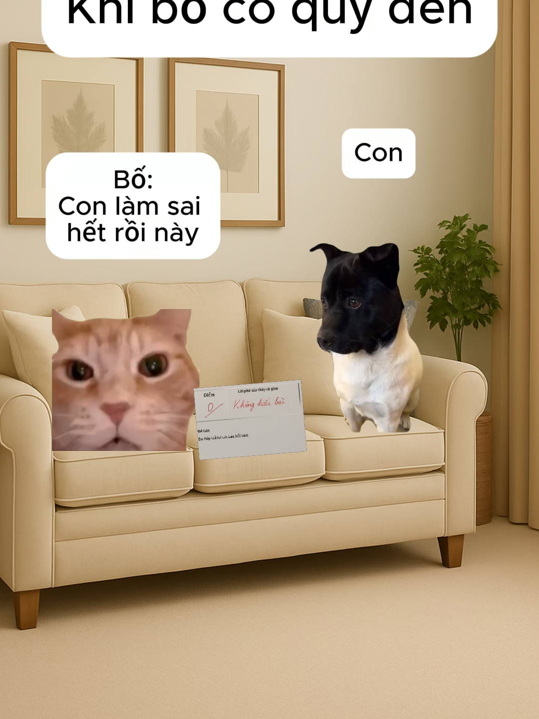 Bố có quỹ đen #meme #mememeo #catmeme #xuhuong #viral