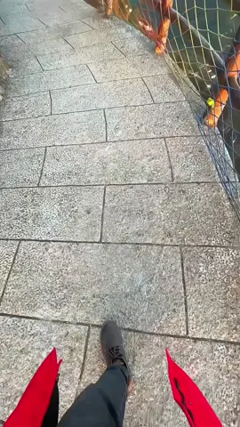 Thế giới này rất lớn #nhansinh #chuyennhansinh #daoly #suyngam #trending 