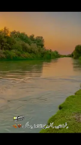 شما تغيب الروح 😌🤍 #كاس #تصويري_احترافي_الاجواء👌🏻🕊😴 #تصميم_فيديوهات🎶🎤🎬 #tiktok #لايكات 