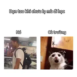 #xuhuongtiktok #memebanthan #aihuocvuinhon #xuhuong #hahaha😂😂😂 