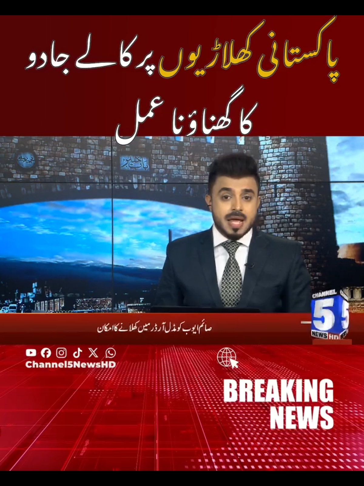#shehbazshareef💓 #miannawazshareef🦁♥️🦁♥️🦁 #fyppppppppppppppppppppppp #pmlnzindabad🐆🐆🐆🔥🔥🔥 #cricket 