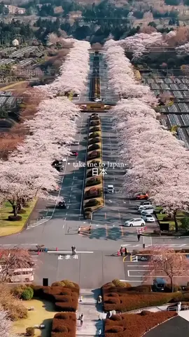 #jepang🇯🇵 #semogatercapai #negaraimpian🇯🇵 #kenshuseijapan🇮🇩🇯🇵🎌 