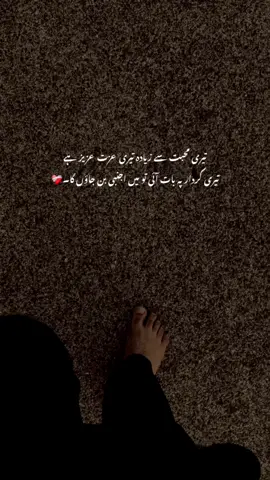 تیری محبت سے زیادہ تیری عزت عزیز ہے تیری کردار پہ بات آئی تو میں اجنبی بن جاؤں گا۔❤️‍🩹#mrrehman #ontik #grow #viral #foryoupagee 