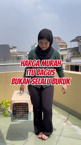 Harga murah itu bagus !!  bukan selalu buruk ❎  contohnya kaya pet carco ini 🥰🥰        #promomakangajian #fyp #pawsitivevibes #petcargo #gajiansale 