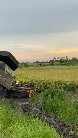 piala kedua wiap🥈😅 @Mohd Syakir #fyp #oripadi🌾 #nh1545 #anakpetani🌾 #jenteraberantai 