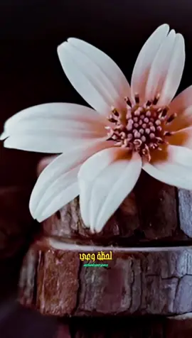 #LIVEIncentiveProgram #LIVEwithlowfollowers #PaidPartnership  #fouryou #quotes 