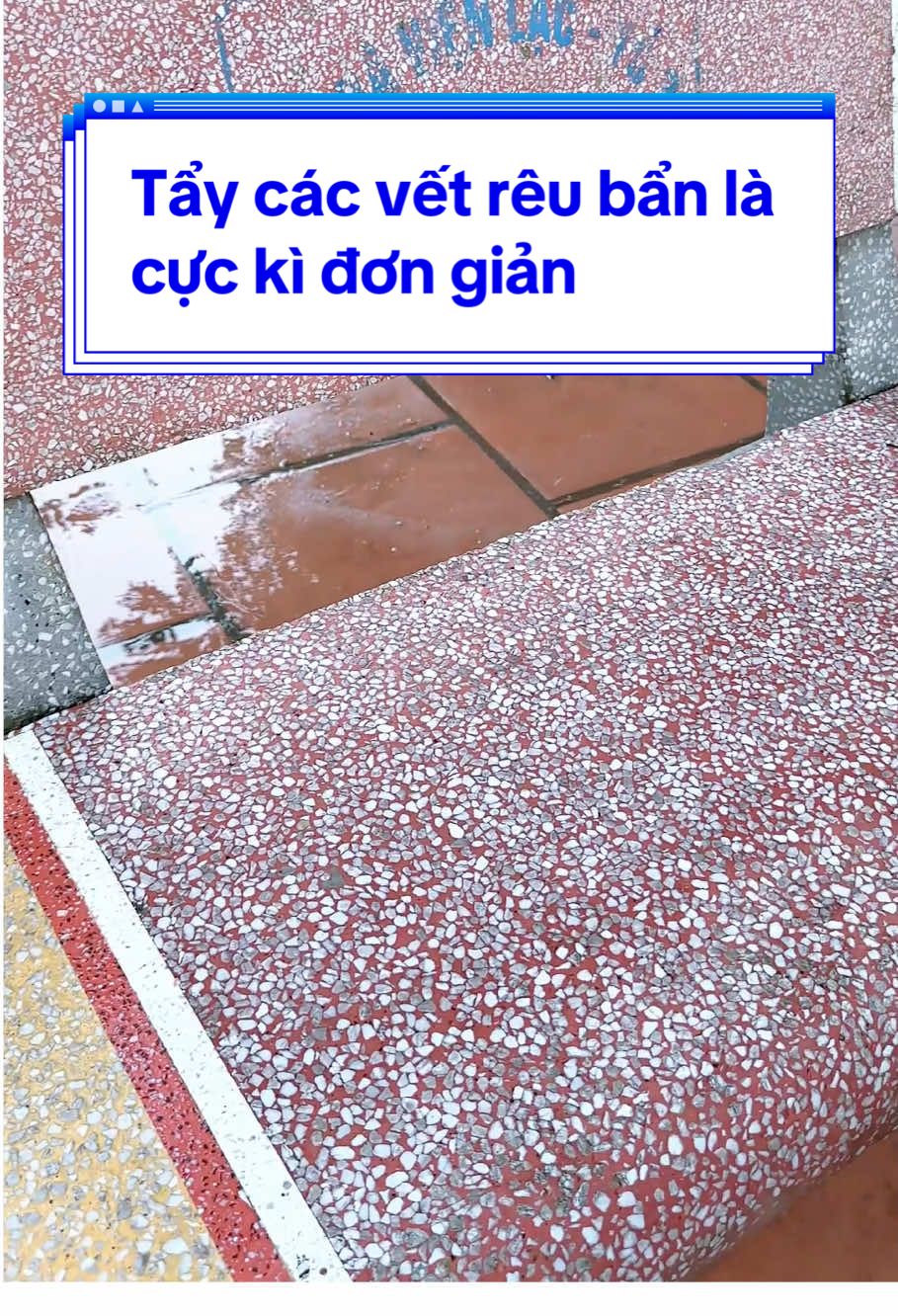 Tẩy rêu bẩn là cực kì đơn giản 