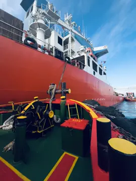 KT teluk adang 1#bulukumba#asistugh m#makassarinfo 