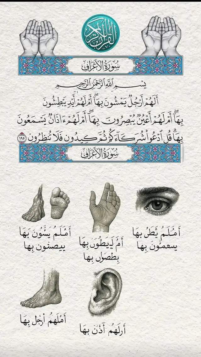#fyp #allah #quran #قران_كريم #islamic_video 