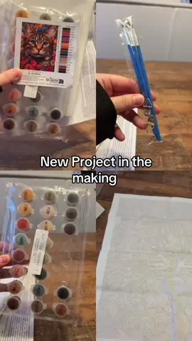 I’m obsessed with crafts right now 😍 #fyp #whatsforyou #fyd #paintbynumber #crafts 