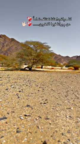 ❤️‍🩹#مشاهير_تيك_توك_مشاهير_العرب 