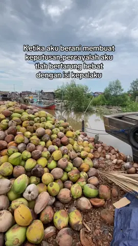 Yang org lain tidak tau😇@IrFan @Daeng_Risky69🀄 #storypelaut #fyp #kelapa 