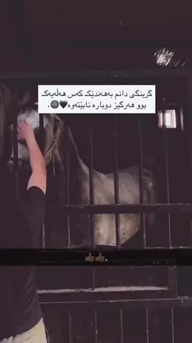 #هةولير_سليمانى_دهوك_كةركوك_رانية_زاخو 🥹💔😔