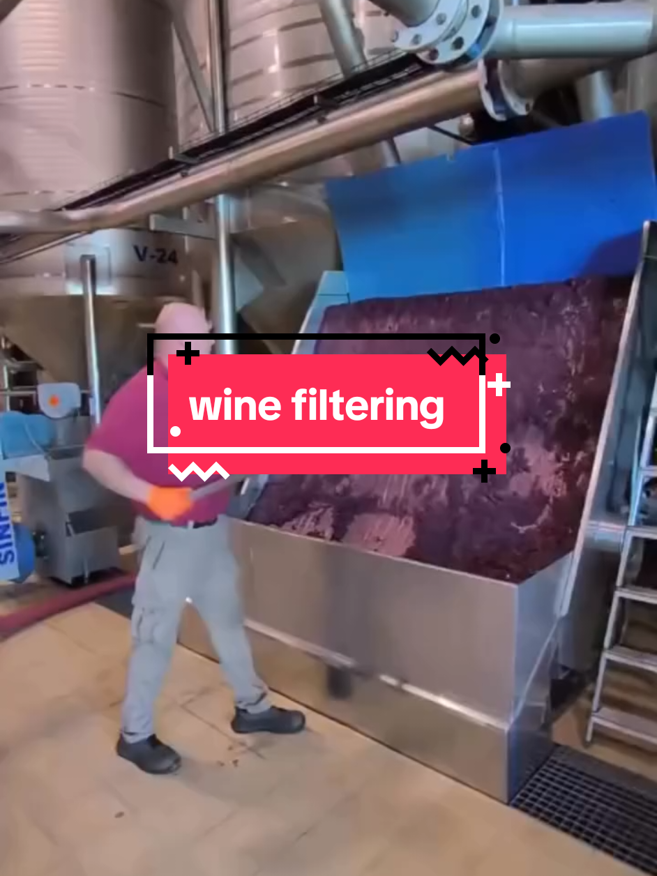 Wine filtration #thewinearound #wine #filtration 