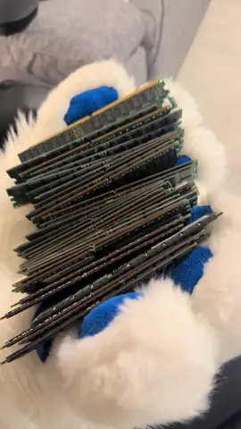 Any proto wants some ram? 😏#furry #protogen #funny #plushie 