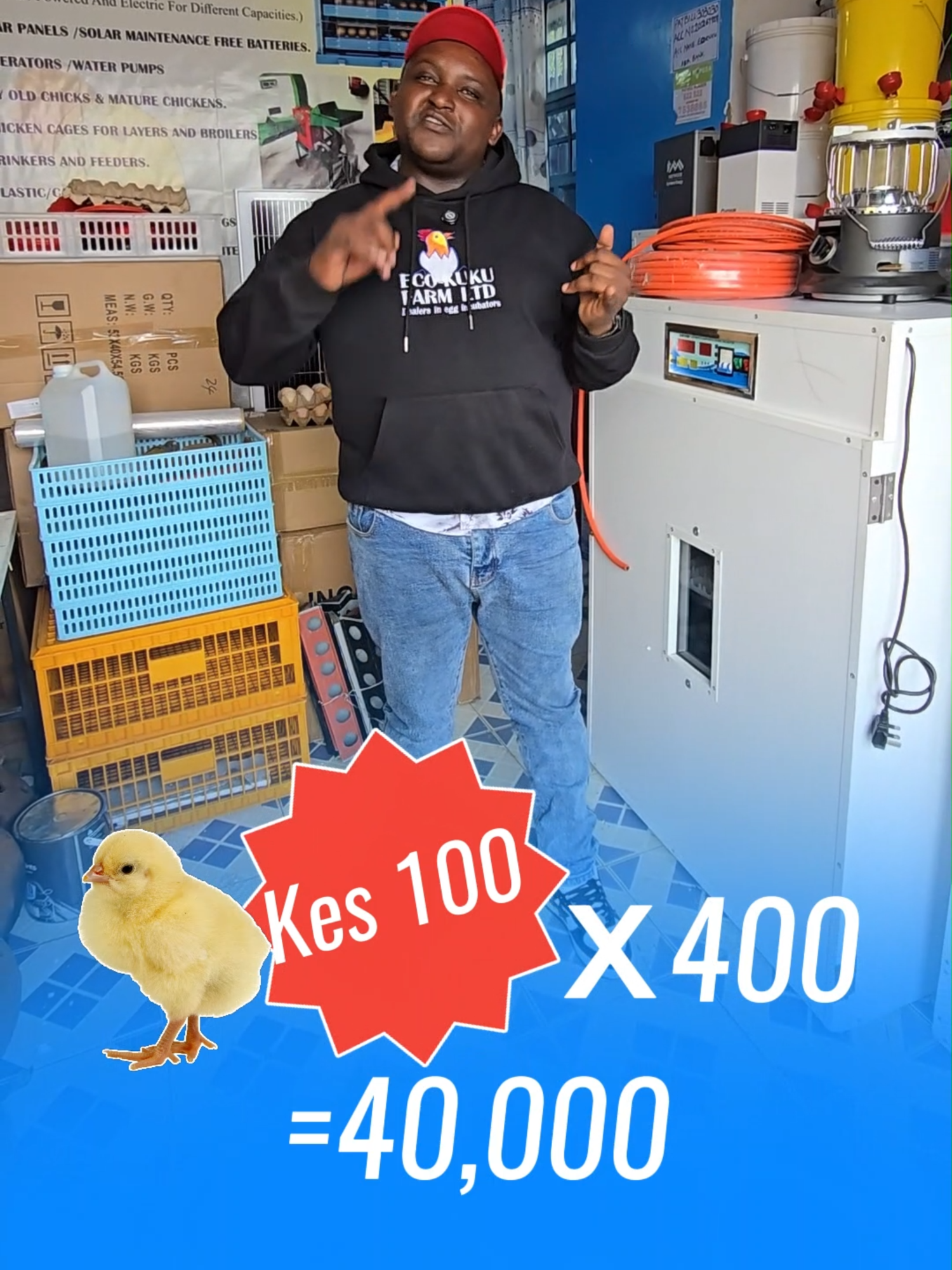 Learn more about the egg incubation business and get an egg incubator to start one yourself! Eco Kuku sells reliable egg incubators with a 1 year warranty and continued customer support order yourself one by calling 0710 905 696  or visit us in Nairobi, along Outer-ring road in Kariobangi next to Kiamaiko stage (on your way to Allsops) we do free deliveries countrywide! we install free and train you on how to use them for free as well. #poultry #business #foryoupage #kenyabusiness #poultryfarming #chickenfarm #fyp #eggincubator #chicken #farmmachinery #fyppppppppppppppppppppppp