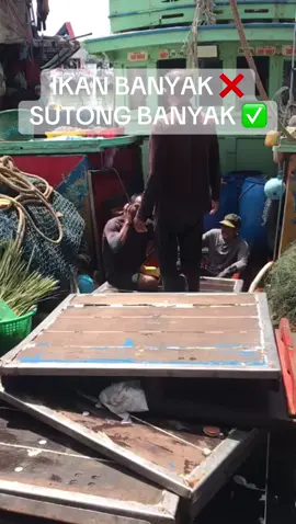 Berjadii sutong pon gaisss! Nak borong boleh rojerr ☺️🤭🫣 #sutongsegar #sutongfresh #saudagarsutong 