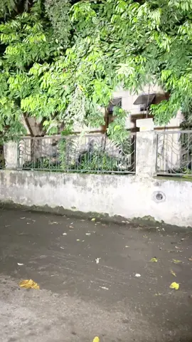 Mua ngay kẻo hết các bác ơi #denmino #dennangluongmattroi #dennangluonggiatot #densieusang #xuhuongtiktok 