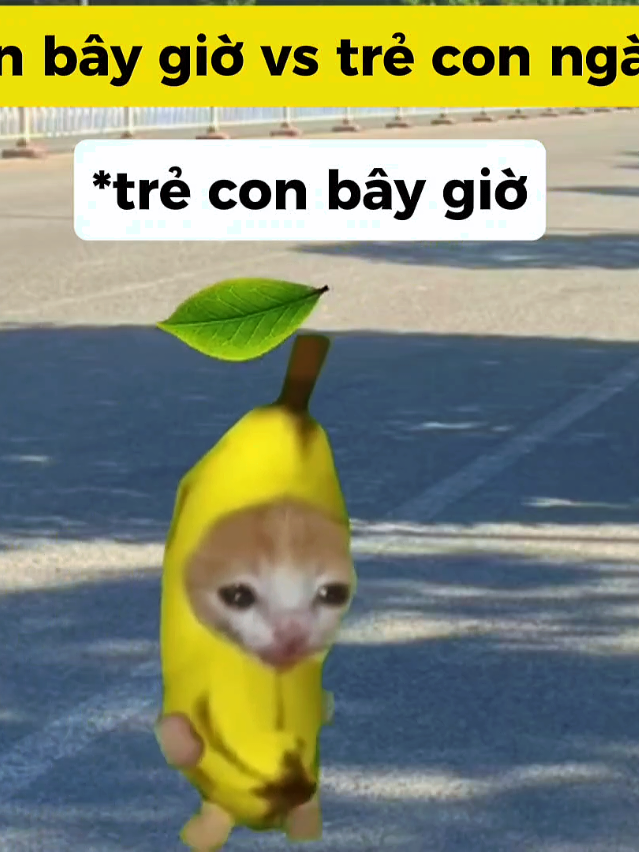 Vấn đề kĩ năng!!! #mememeo  #meme #meovotrimeme #funny #viral 